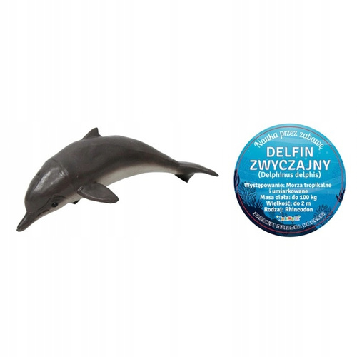Delfin Zwyczajny 18 Cm Długości Ręcznie Malowane