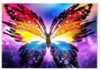 Malowanie Po Numerach 50X40 Cm Kreatywne Z Ramą Kolorowy Motyl