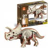 Figurka Dinozaura Triceratops Model Anatomiczny Model Do Złożenia