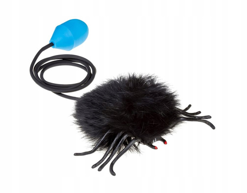 Pająk Skaczący Włochaty Czarny Z Pompką