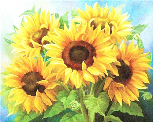 Malowanie Po Numerach Bukiet Słoneczników 50X40 Z Ramą