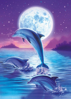 Diamentowa Mozaika Delfin Na Tle Księżyca 30X40 Cm Kreatywne Diamenty