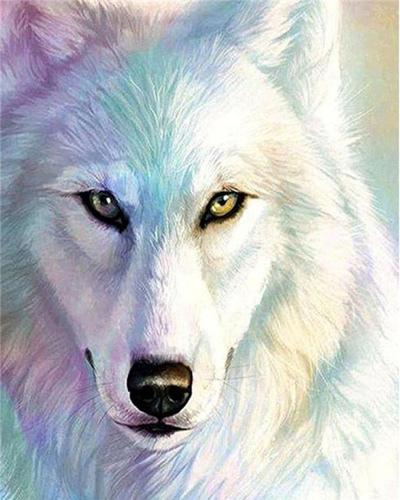 Malowanie Po Numerach Portret Białego Wilka 50X40 Cm Z Ramą Kreatywne