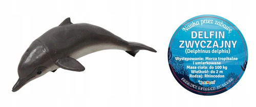 Delfin Zwyczajny 18 Cm Długości Ręcznie Malowane