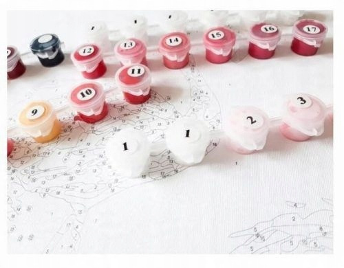 Malowanie Po Numerach Brama Do Ogrodu 40X50 Cm Na Ramie Kreatywne