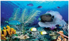 DIAMENTOWA MOZAIKA HAFT DIAMENTOWY PODWODNE OCEANARIUM 80X40CM