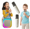 Głośnik Karaoke 2 Mikrofony Bluetooth USB Karta Pamięci Beżowy Światła LED