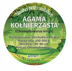 Zabawka Figurka Agama Kołnierzysta 55 CM Długości Szczegółowe Detale