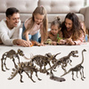 Skamielina Dinozaura T-Rex Do Odkrycia Przez Małych Archeologów Dla Dzieci