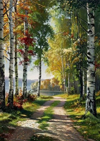 Malowanie Po Numerach Spacer Drogą W Brzozowym Lesie 40X50 Cm Na Ramie