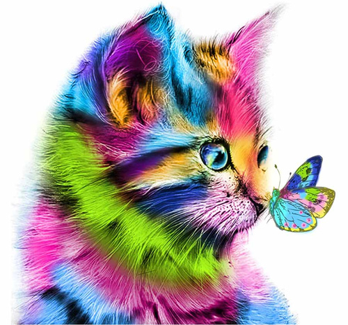 Diamentowa Mozaika Kolorowy Kot Z Motylem Na Nosie 30X40 Cm Kreatywne