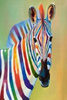 Malowanie Po Numerach Zebra Kolor 50X40 Cm Na Ramie