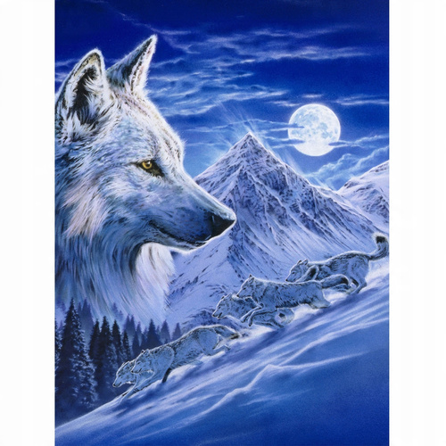 Malowanie Po Numerach Wilk Góry Zima 40X50 Rama