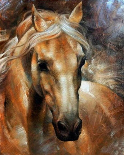 Malowanie Po Numerach Koń Portret Ujęcie 40X50 Cm Na Ramie Kreatywne