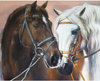 Diamentowa Mozaika Portret Dwóch Koni 30x40Cm Kreatywne Diamenty