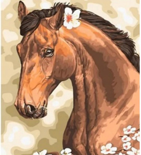 Malowanie Po Numerach Koń, Kwiat 50X40 Cm Na Ramie
