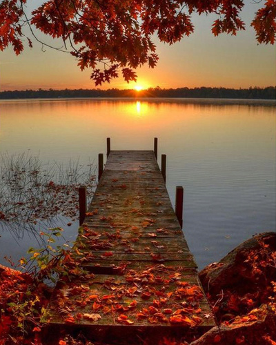 Malowanie Po Numerach Most Jesienią