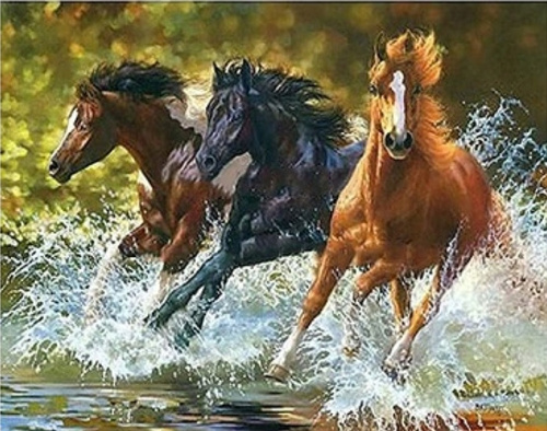 Malowanie Po Numerach Konie 40X50