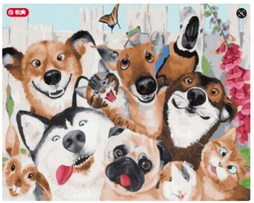 Malowanie Po Numerach Psy I Koty 50X40 Cm Na Ramie