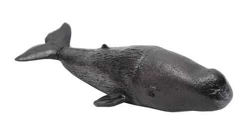 KASZALOT 32 CM DŁUGOŚCI PAK 24