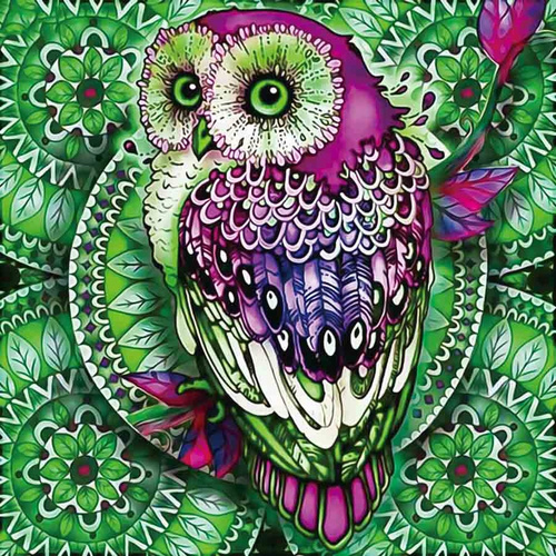 Diamentowa Mozaika Mandala Sówka 30x40 Haft 7d