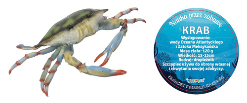 KRAB 25 CM DŁUGOŚCI
