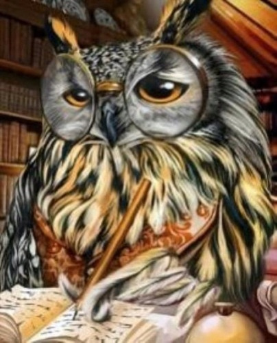 Malowanie Po Numerach Sowa, Księga 50X40 Cm Na Ramie