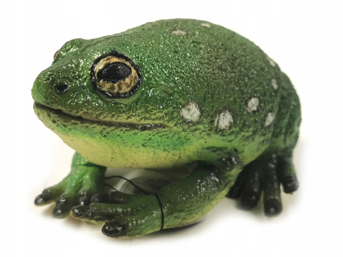Żaba Drzewna Zielona 22 Cm Długości