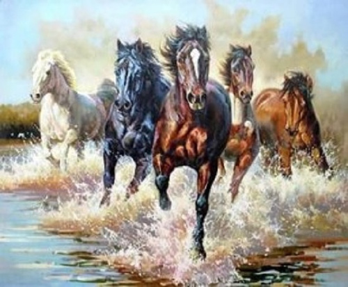 Malowanie Po Numerach Dzikie Konie W Galopie 40X50 Cm Na Ramie Kreatywne