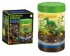 Magiczny Ogród Terrarium Lampka Nocna Hodowla Roślin Z Dinozaurami