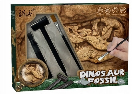 Skamielina Zestaw Do Odkrywania Zestaw Archeologiczny Z Narzędziami