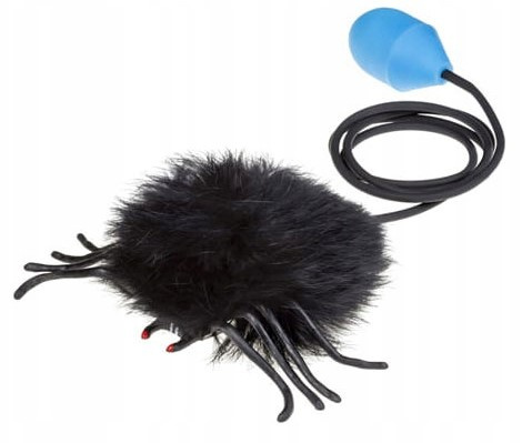 Pająk Skaczący Włochaty Czarny Z Pompką