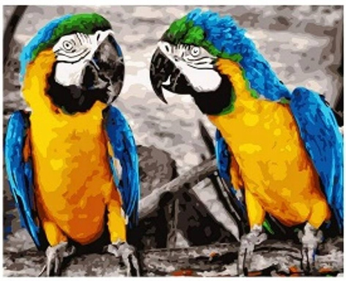 Diamentowa Mozaika Dwie Rozmawiające Papugi 30x40Cm Kreatywne Diamenty