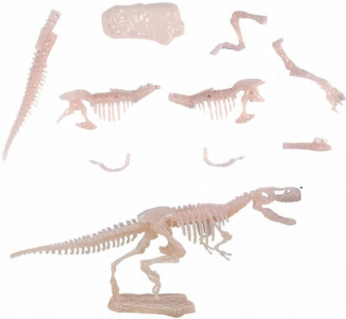 Skamielina Fluor Dinozaur Szkielet Tyranozaurus