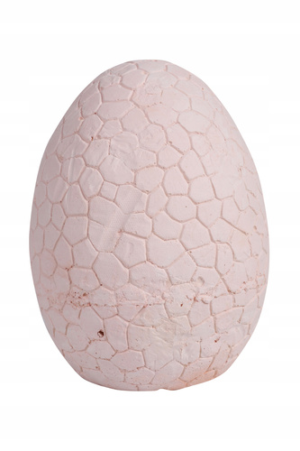 Skamielina Dinozaur W Skale Dinozaur