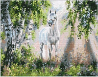 Malowanie Po Numerach Koń W Brzozowym Lesie 50X40 Cm Z Ramą Kreatywne