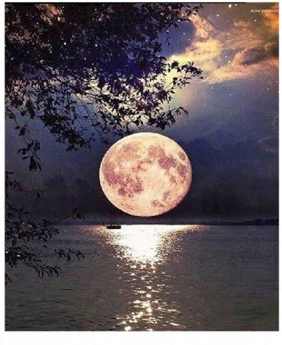 Malowanie Po Numerach Księżyc W Pełni Nad Jeziorem 50X40 Z Ramą