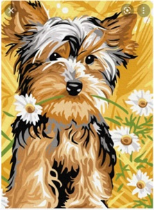 MALOWANIE PO NUMERACH PIES, STOKROT 30X40 CM+ RAMA