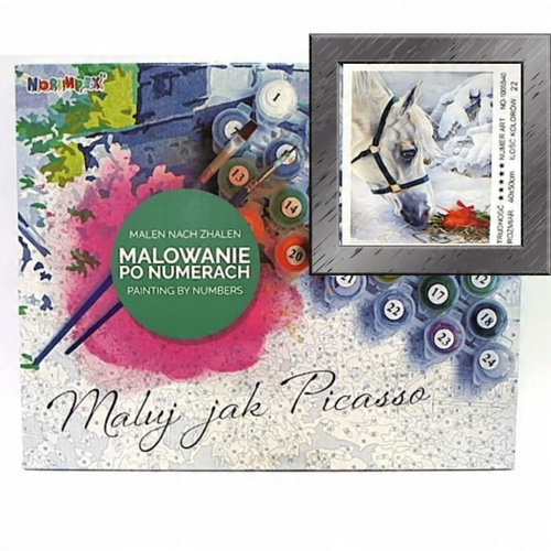 Malowanie Po Numerach Koń, Śnieg 50X40 Cm Na Ramie