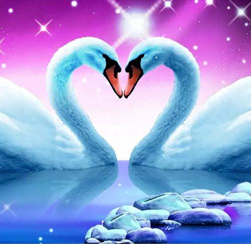 Malowanie Po Numerach Łabędzie,Serce50X40 Cm Na Ramie