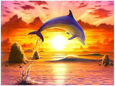 Malowanie Po Numerach Delfin Skaczący Na Tle Zachodu Słońca 50x40 Z Ramą