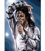 MALOWANIE PO NUMERACH MICHAEL JACKSON 40x50 RAMA