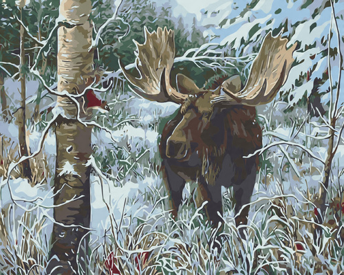 Malowanie Po Numerach Łoś W Lesie 50X40 Cm Na Ramie