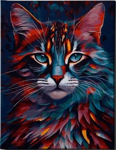 MALOWANIE PO NUMERACH KOT KOLOROWY PORTRET 50x40 CM Z RAMĄ KREATYWNE