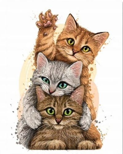 Malowanie Po Numerach Trzy Kotki 50X40 Cm Na Ramie