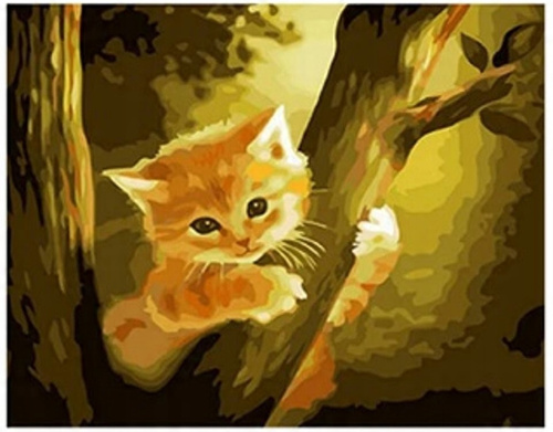 Malowanie Po Numerach Kot Na Drzewie 50X40 Cm Na Ramie