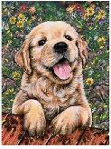 Diamentowa Mozaika Pies Labrador Szczeniak 30x40Cm Kreatywne Diamenty
