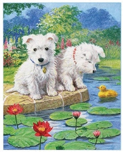 Malowanie Po Numerach Dwa Maltańczyki Nad Jeziorem 50X40 Cm Na Ramie