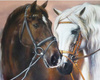 Diamentowa Mozaika Portret Dwóch Koni 30x40Cm Kreatywne Diamenty