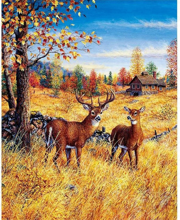 Malowanie Po Numerach Jelenie Na Polu 50X40 Cm Z Ramą Kreatywne